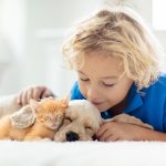 Was passiert, wenn wir mit Tieren kuscheln? 