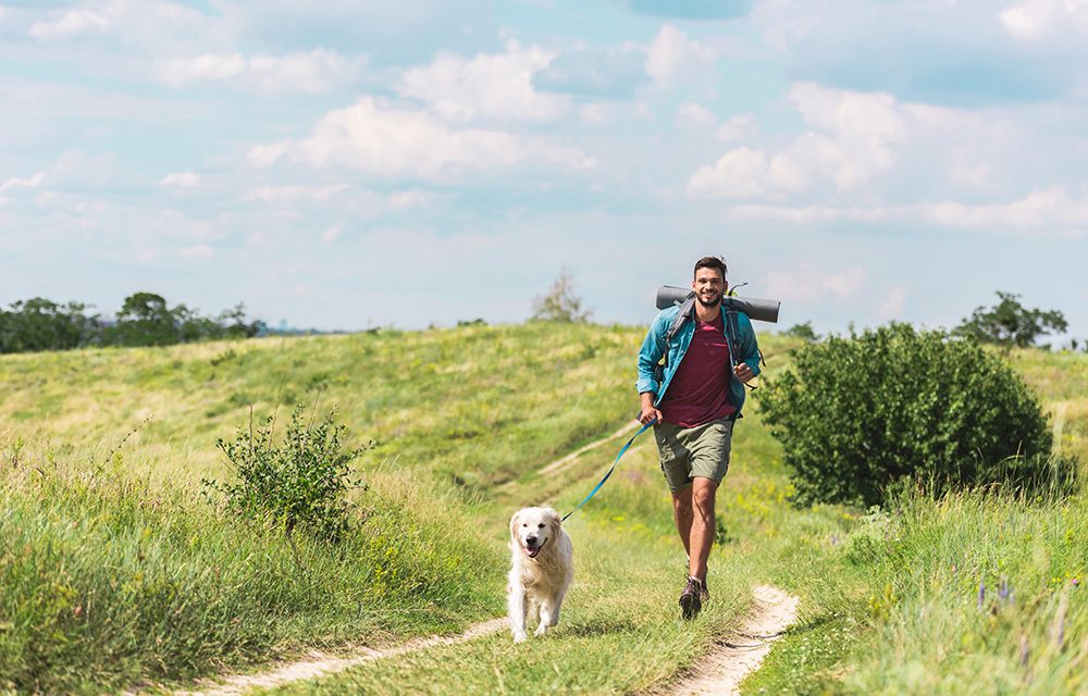 Tipps zum Wandern mit Hund in den Bergen