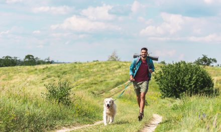 Tipps zum Wandern mit Hund in den Bergen