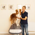 Tierarztpraxis Rex löst Hamburgs Hunde-Problem