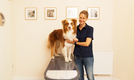 Tierarztpraxis Rex löst Hamburgs Hunde-Problem